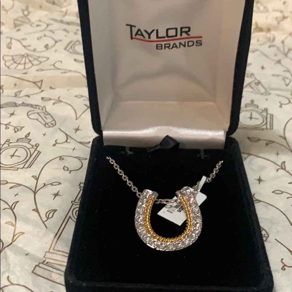 NWT Horseshoe necklace